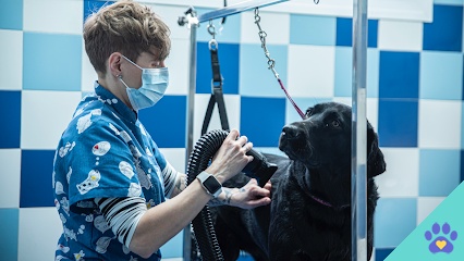 Alpelo Pet - Cáceres