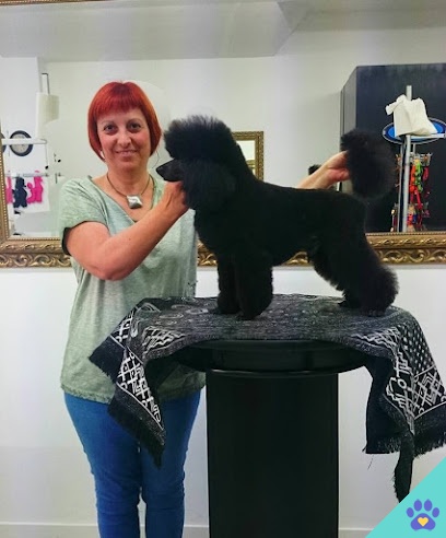Beauty Dogs - Sant Celoni