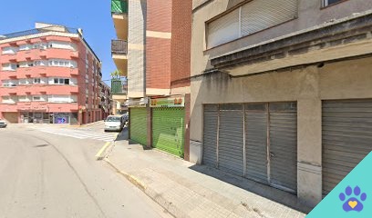 Beauty dogs - Tordera