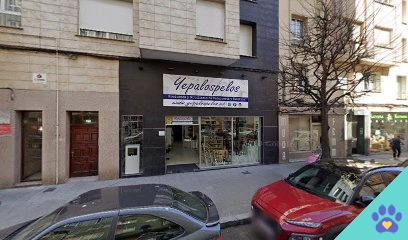 Blanca Meneses Estilista Canina - Gijón