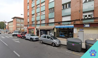 Blanca Meneses - Gijón