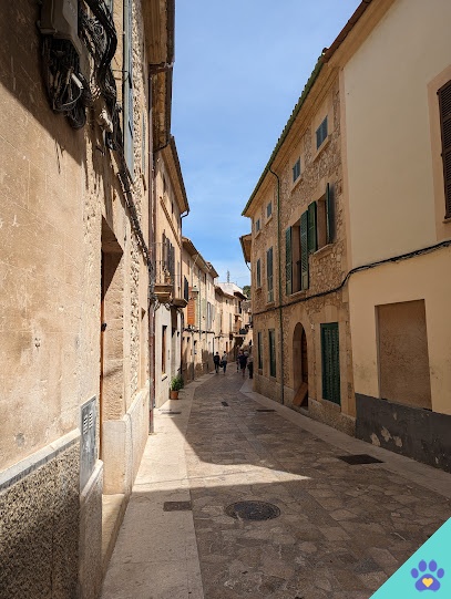 Can Niu Perruqueria - Pollensa