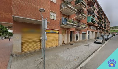 Carla Rovira Lletjós - Arenys de Mar