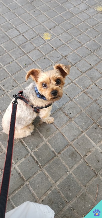 CENTRE VETERINARI 4 POTES - Calafell