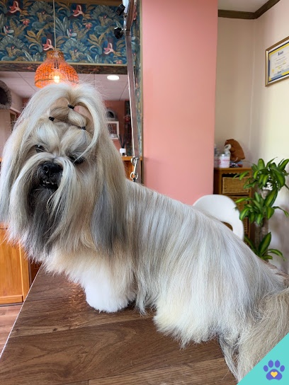 Centro Estético Canino ALBA LARA - Sanlúcar de Barrameda