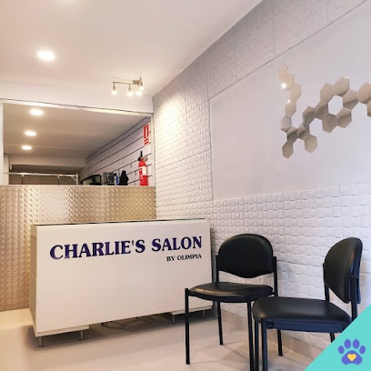 Charlie's Salon - Tàrrega