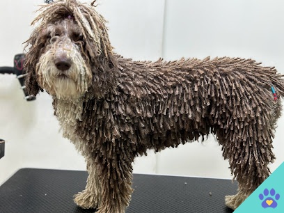 Che Oliva Estilista Canina - Sevilla