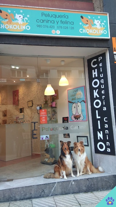 Chokolino peluquería canina - Oviedo
