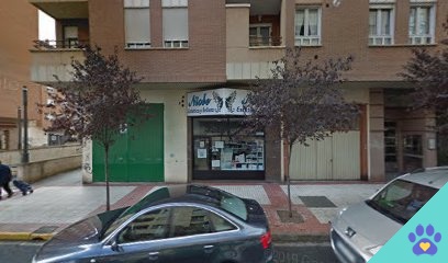 Clean Pets - Miranda de Ebro