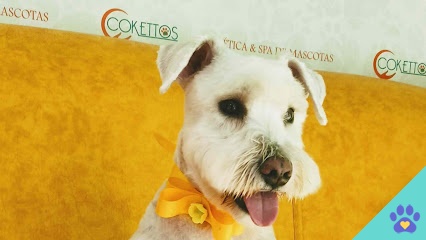 Cokettos Peluqueria y Spa de Mascotas - El Puerto de Sta María