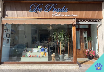 De Prada salón canino - Ponferrada