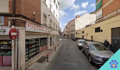 Doggy Planet 28850 - Torrejón de Ardoz