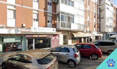 DON CANINO - Cádiz