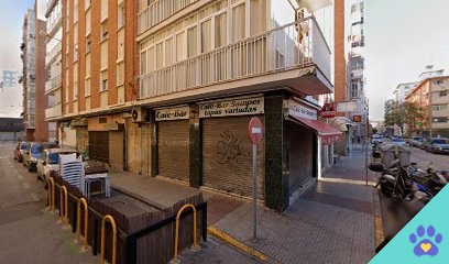 ESTILISMO CANINO - Cádiz