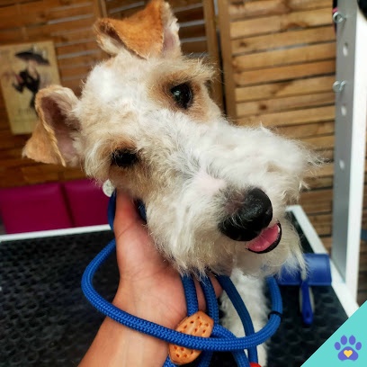 Eva Gomez, Estilista Canina - Lora del Río
