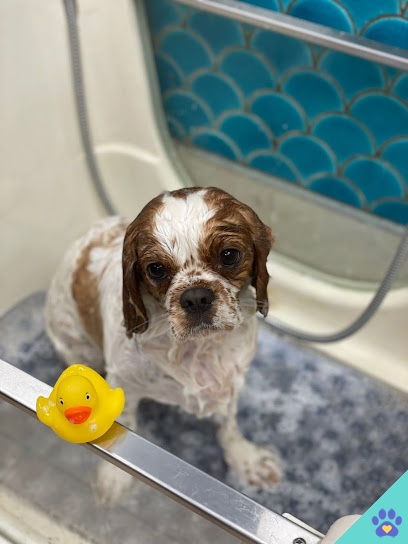 Happy Tails Dog Boutique - Marbella