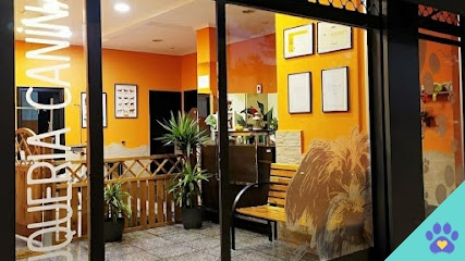 Inma Allende Peluquería Canina - Gijón