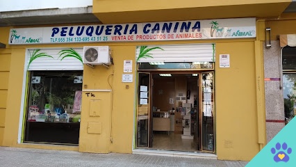 Junglanimal - Sevilla
