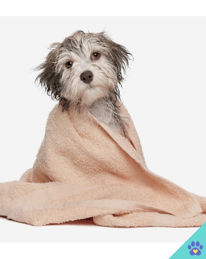 KARAMIEL Peluquería Canina - Almería