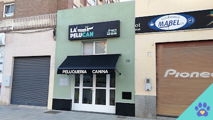 LA PELUCAN (Peluquería Canina) - Almería