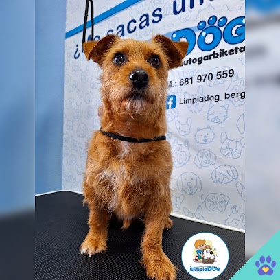 Limpiadog Bergara - Vergara