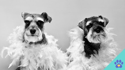 LULA Peluquería Canina - Almería