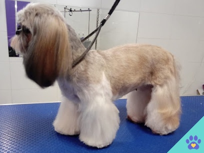 Maria Davila Peluqueria Canina - Badajoz