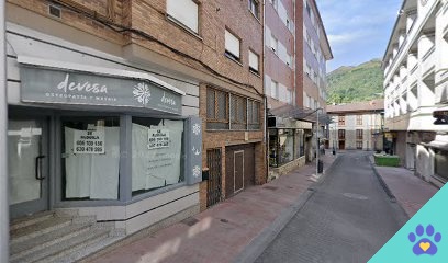 Mascotines - Pola de Laviana