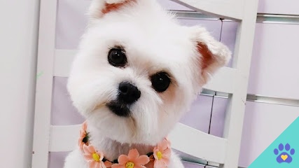Mhöki peluquería canina - Ponferrada