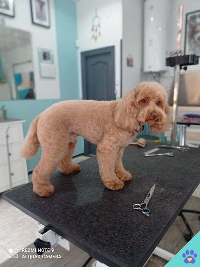 Mis Peludos - Gijón