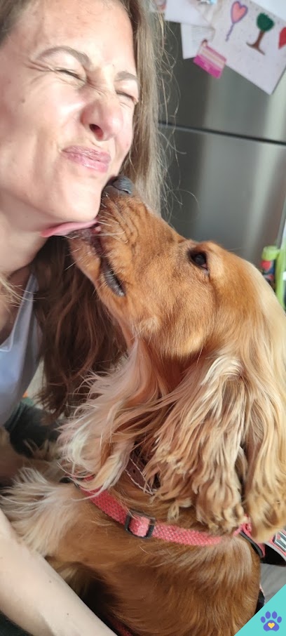 Nuestros Peludos - Peluquería Canina y Felina - Monforte de Lemos