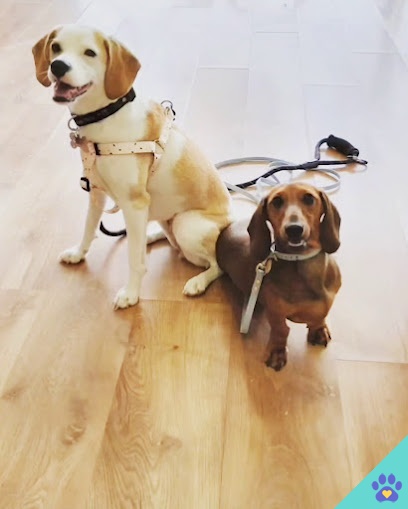 Oh My Dog Peluqueria Canina - Roquetas de Mar