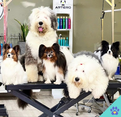 PapillonMadrid peluqueria canina - Majadahonda