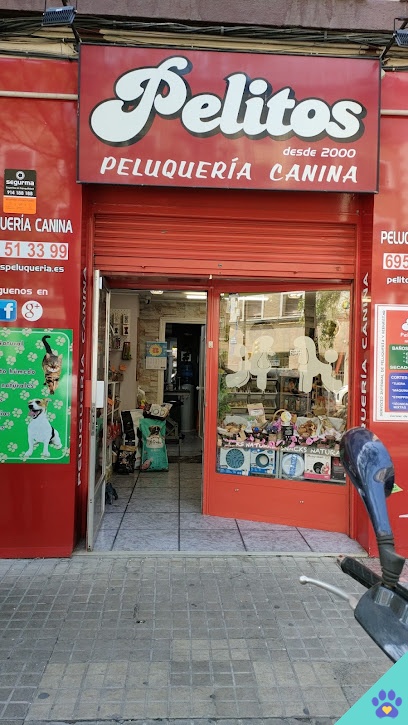 Pelitos Peluquería Canina y Felina - Zaragoza