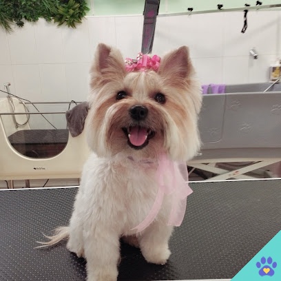 PELUDOG - Murcia