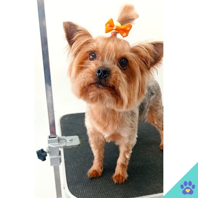Peludogs - Cabra