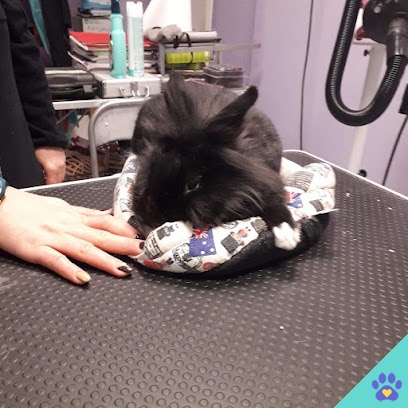 Peludos Pets - Gijón