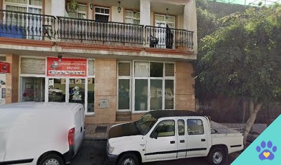Peluqeria canina BOUTIQUE - Los Llanos