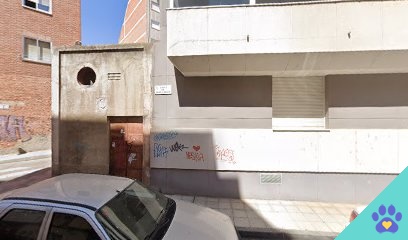 Peluqueria canina a domicilio - Zamora
