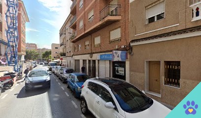 Peluqueria Canina Accesorios - Elche