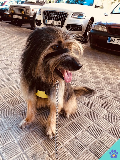 Peluquería Canina Ainara - Burlada