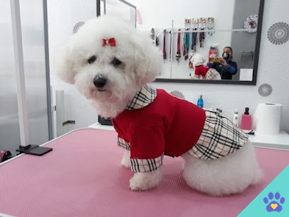 Peluquería Canina Alidog - Collado Villalba