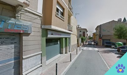 Peluquería Canina Ana - Mula
