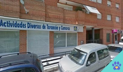 Peluqueria Canina Animaleando - Tarancón