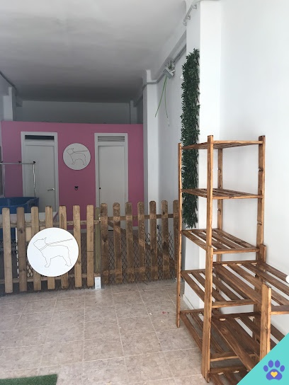 Peluquería canina Barber Dog - Málaga