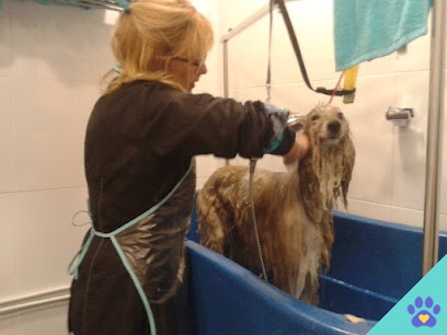 Peluquería Canina Barber Dog - Rivas-Vaciamadrid