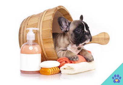 Peluquería Canina Bene Cane - Valdemorillo