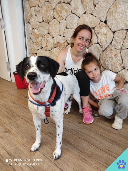 Peluquería canina BEST Friend - Santa Eulalia del Río