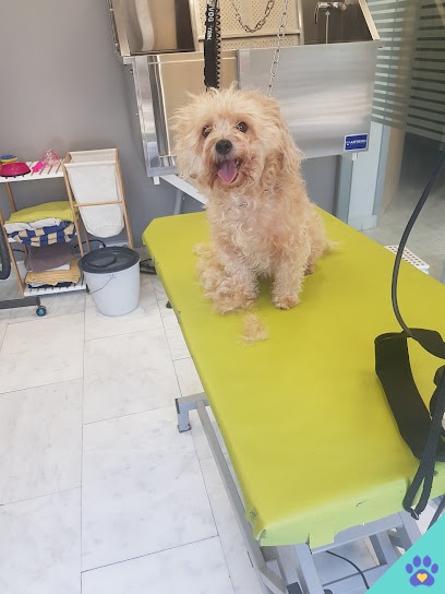 Peluquería Canina Boniket - Mollerussa