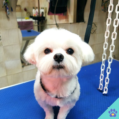 Peluquería Canina Burbujas - Cabra